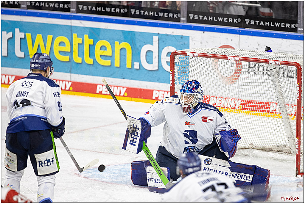 PENNY DEL;  Koelner Haie - Straubing Tigers; Koeln, 28.12.2022